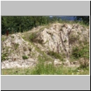 Pseudomalus auratus - Goldwespe 02c Waldwiese mit Lehmhuegeln.jpg